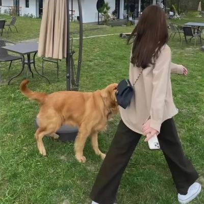恋爱的正确标记法